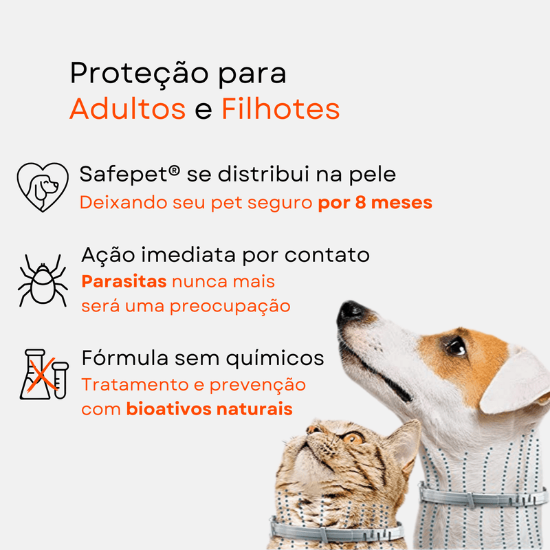 Colar Anti Pulgas e Carrapatos Original - 8 Meses de Proteção - Loja Zig Zag